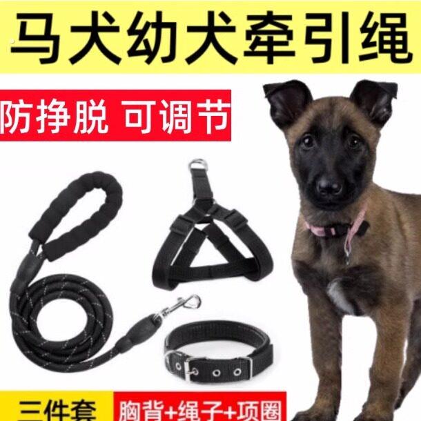 马犬幼犬专用牵引绳狗炼小马犬大型犬背心式项圈外出遛狗可调节