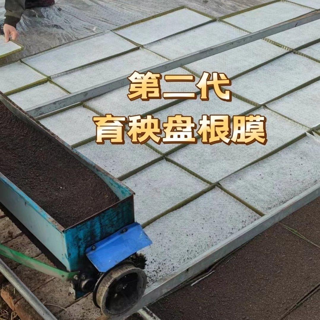 水稻育秧盘根布秧盘内置盘根膜盘根好专用育秧苗不散盘育苗盘根好