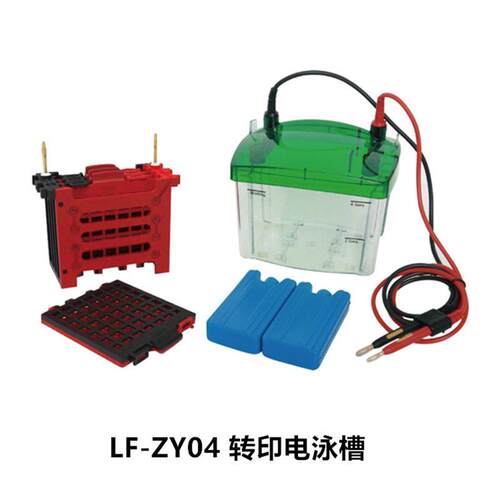 LF-ZY04蛋白转印电泳槽LF-31DN水平琼脂糖电泳槽英文版电泳槽