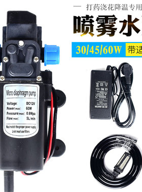 隔膜抽水泵园艺打药微型增压自吸泵浇花洒水喷雾12v30w100W吸水泵
