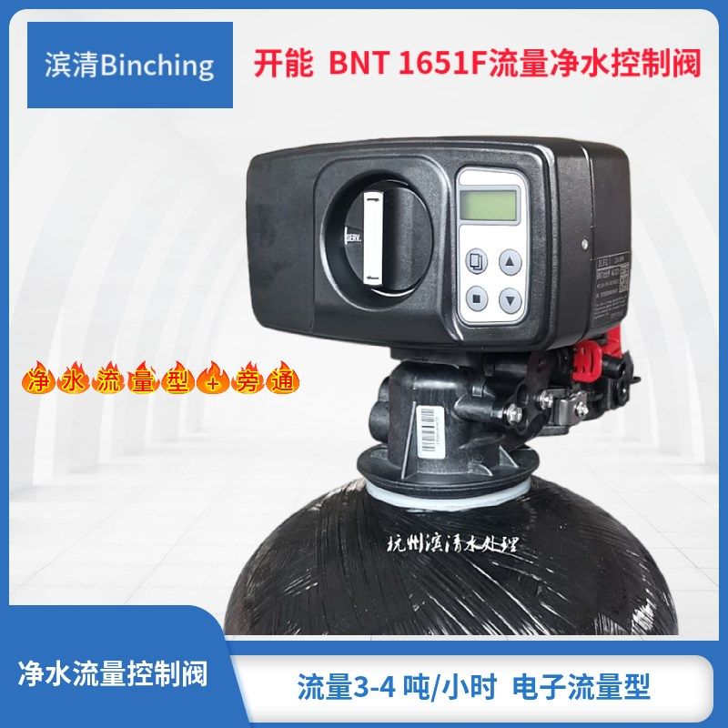滨清 开能 BNT1651F流量净水控制阀 含旁通适用全屋中央净水