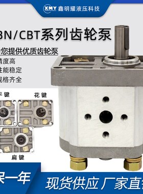 齿轮泵CBN-E系列 16MPa CBN-E304 CBN-E306 CBN-E310 CBN-E314