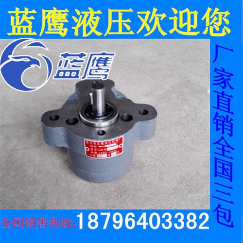 TCBW-B4 WCB-6带耳朵CB-B2.5油泵SUCH7 XDR-7锯床齿轮泵B10电机组