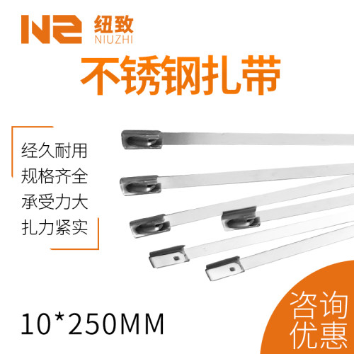 304/201不锈钢扎带10MM金属束带船用固定带抱箍卡扣10*350