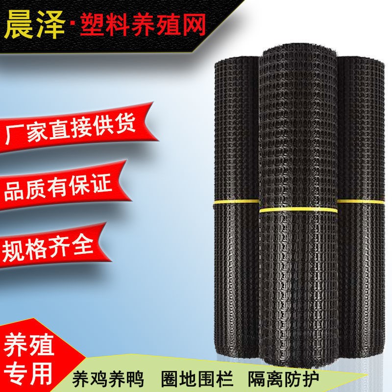 塑料网养殖网养鸡围栏网隔离防护网安全网护栏网黑色胶土工格栅网