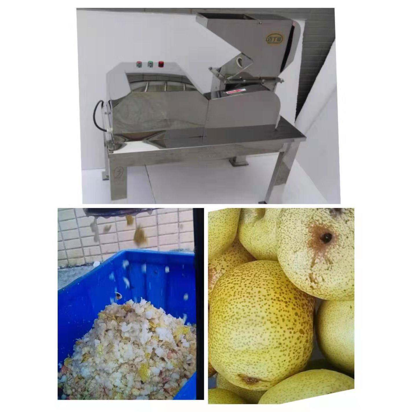 水果破碎机价格工厂用果蔬破碎机商用桃子红枣菠萝破碎机