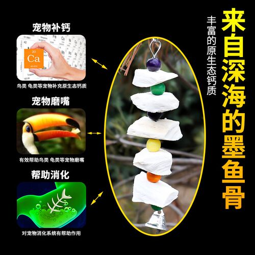 墨鱼骨鹦鹉专用玄凤虎皮牡丹鹦鹉磨牙棒补钙啃咬玩具用品零食大块