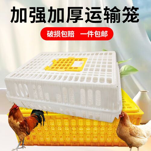 鸡笼运输笼塑料筐家禽周转箱鸡鸭鹅鸽笼装鸡周转鸡笼子大号养殖笼