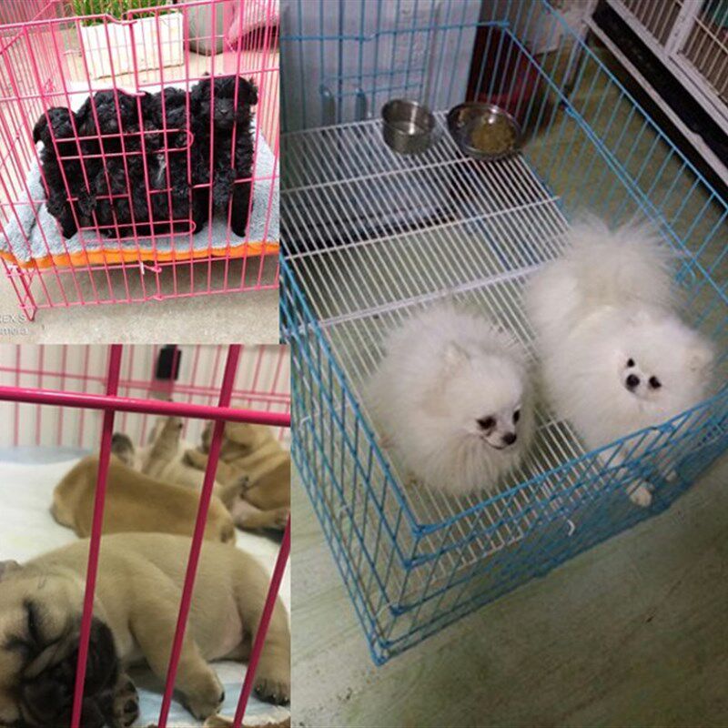 折叠狗笼小型犬狗笼博美泰迪幼犬栅栏围栏调节加高狗笼展示笼卖狗