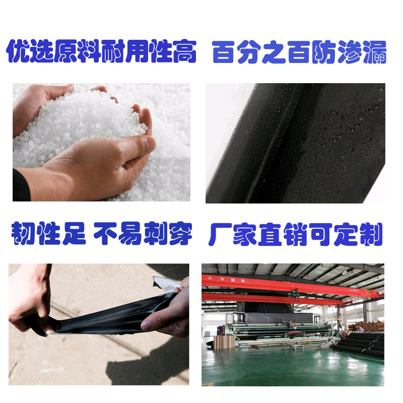 国标鱼塘防渗膜加厚PE土工膜水池防水膜黑色塑料膜多功能农用薄膜