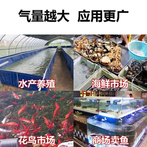 增氧气泵打氧机ACO 气泡石沙头砂头空氧气管分流器分配器气排配件