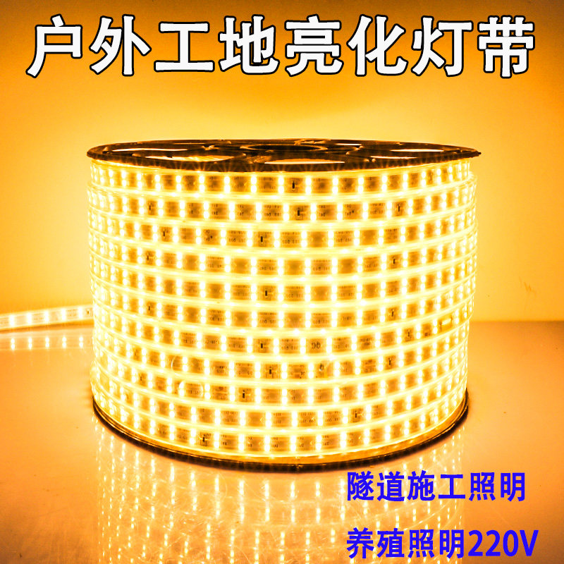 led灯带户外超亮防水工程灯条养殖隧道照明220V七彩变色跑马彩灯