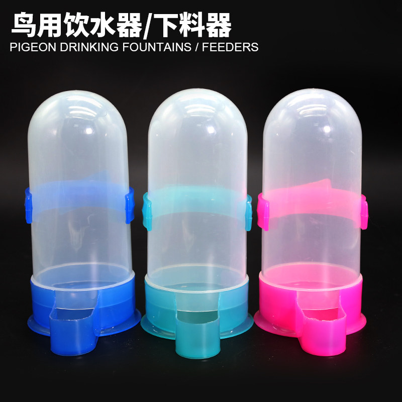 鸽子饮水器喂水水壶喝信鸽用品用鸟禽喂食器/喂水器