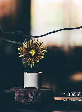 不二学古花器花小钱丨起香 花留为古币造型美观雅致小巧瓷花瓶