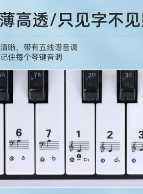 钢琴键盘贴纸88/61/54键通用电子琴手卷钢琴琴贴五线谱简谱键位