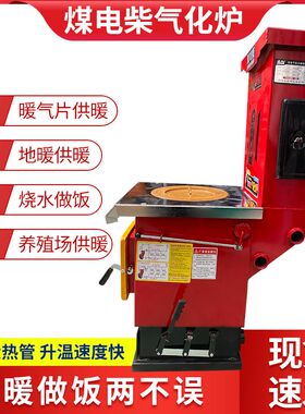 家用燃煤采暖炉煤柴电三用多功能锅炉节能气化取暖气炉子烧木柴火