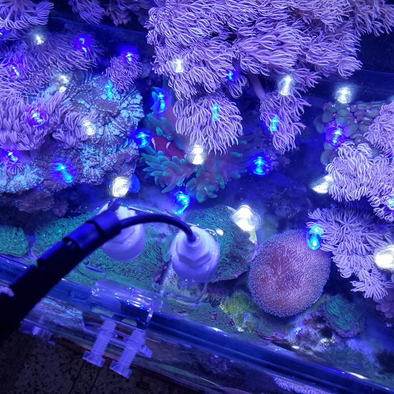 水族鱼缸自动补水器海缸水位控制器电子补水神器吸盘浮球阀亚克力