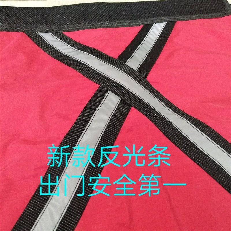 后背式双肩背带 中大童儿童背袋 3岁适用前抱外出旅游用