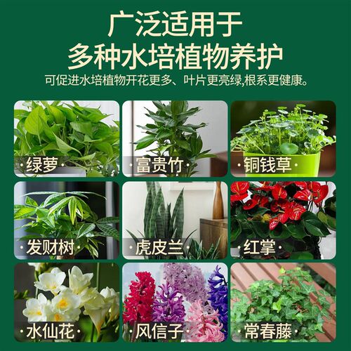 水培植物营养液治黄叶促生根适合各种花的室内盆栽植物通用型肥料