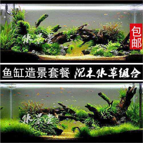 沉木造景套餐景观套餐搭配配件水族小桥水草泥超白缸一木一叶
