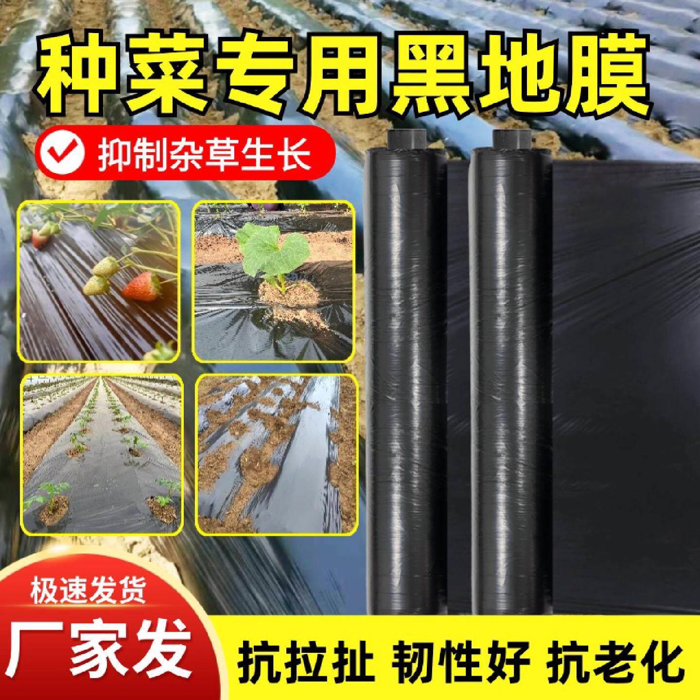 地膜种菜专用黑色加厚农用种植塑料薄膜防草布除草保温膜地钉