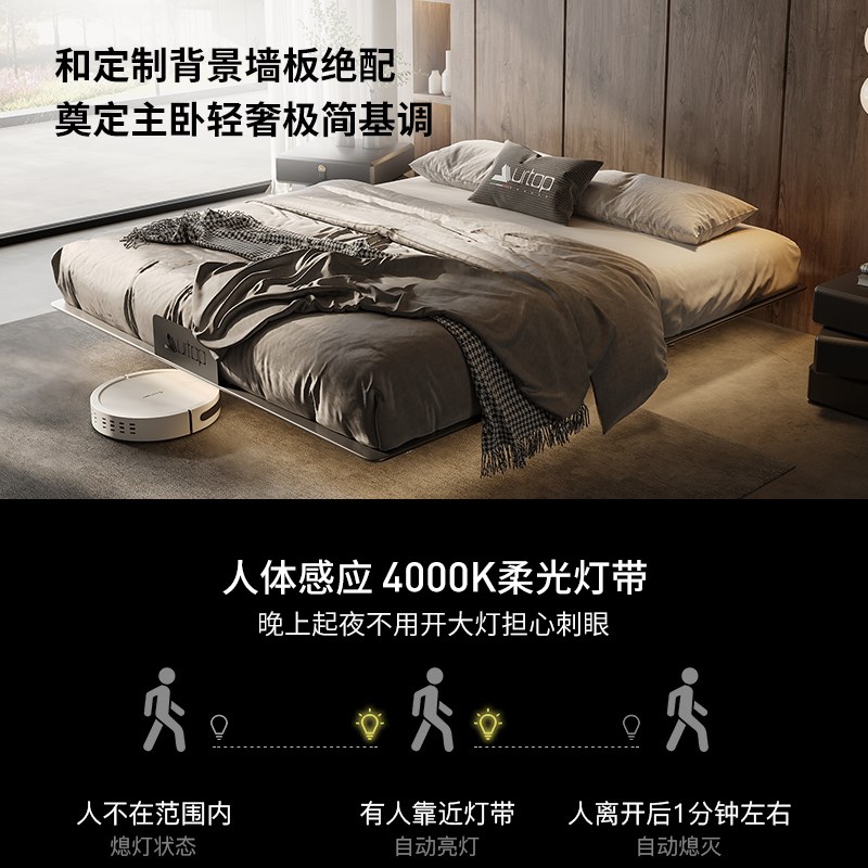 碳素钢悬浮床意式极简主卧室2024年新款无床头悬浮床铁艺床零甲醛