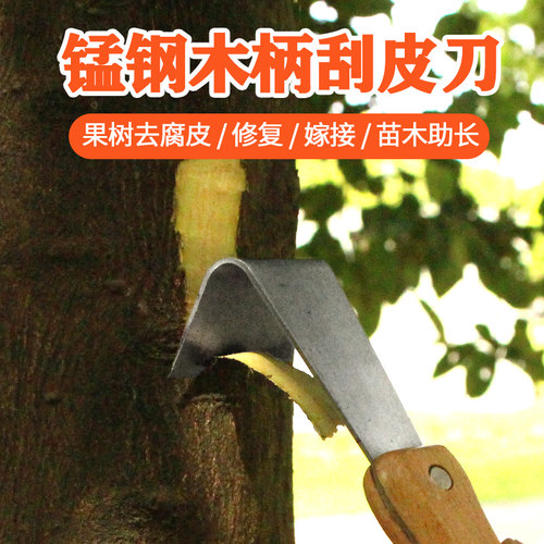 刮树皮专用刀果树腐烂病刮皮刀多功能树皮刮刀刮树挠刮树皮工具