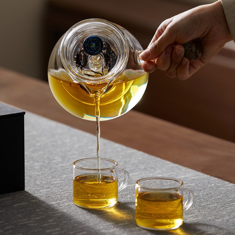 侧把茶壶高硼硅玻璃煮茶壶日式高档泡茶壶蒸煮两用单壶电陶炉专用