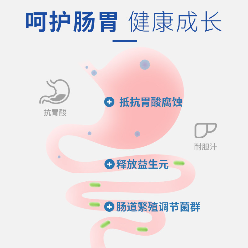 班顿狗粮成年期鲜肉增肥祛泪痕比熊柯基冻干狗粮4斤装(20斤装)