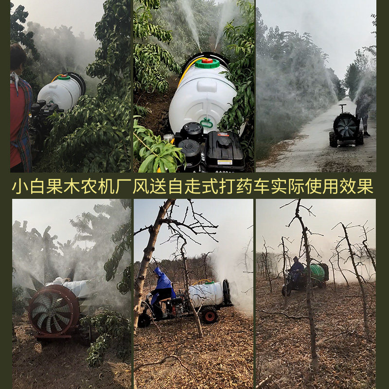 新式风送打药机高压农用果树果园自走式汽油柴油电动喷药打药神器
