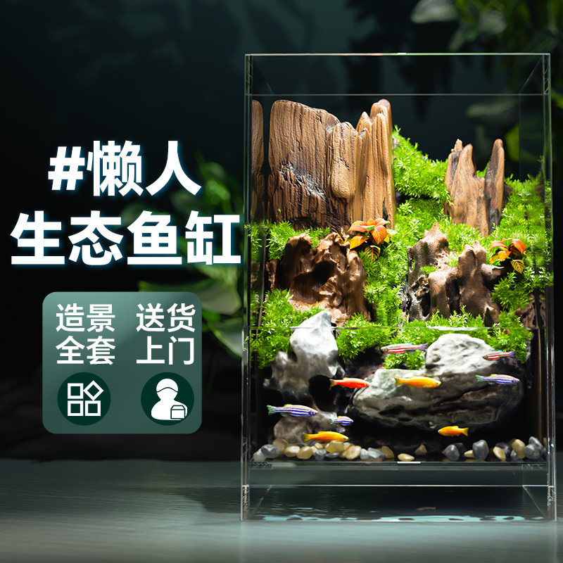 小鱼缸客厅2025新款生态造景全套小型斗鱼超白桌面雨林水陆玻璃缸