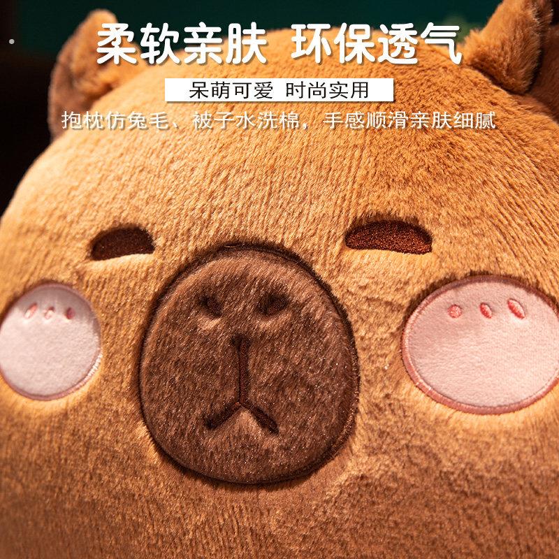 水豚抱枕被子两用办公室午睡枕头车载空调毯子二合一午休汽车靠枕
