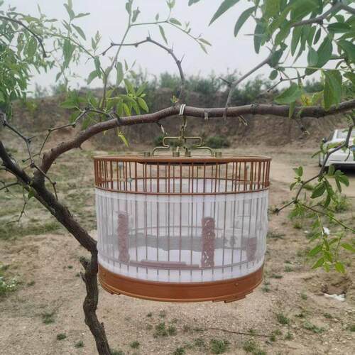 鸟笼用防洒食网防羽粉笼子配罩衣纱网减少清洁圆笼方笼围挡防溅罩