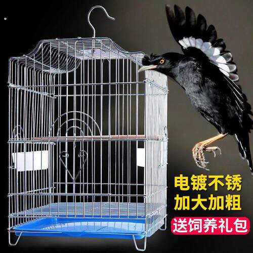 鸟笼八哥玄凤鹩哥鹦鹉笼子大号特大家用专用不锈钢色大型繁殖大全