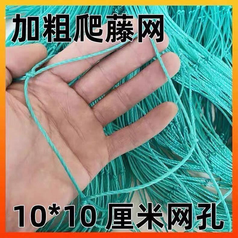 豆角爬藤网黄瓜苦瓜丝瓜吊瓜百香果瓜网植物爬藤网种植网攀爬农用