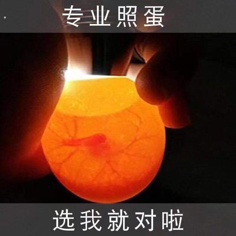 照蛋器孵化专用强光小鸡蛋验蛋穿透照蛋灯冷光手电筒照蛋专业芦丁