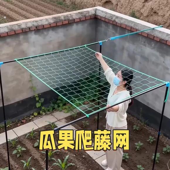 爬藤网植物攀爬网丝瓜豆角黄瓜蔬菜种植网菜园葡萄百香果蔬菜网格