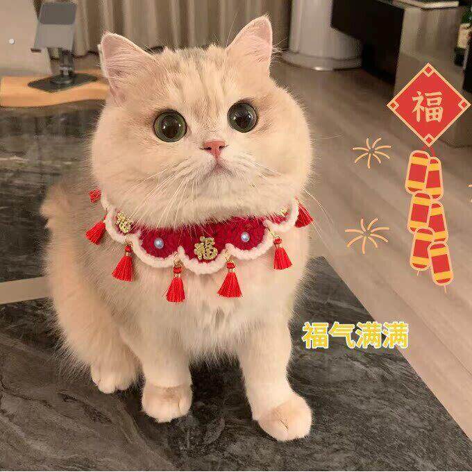 猫咪项圈新年装扮围脖猫猫脖子狗狗脖饰口水巾装饰品宠物脖圈配饰