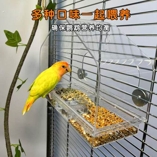 鹦鹉鸟笼配件内挂亚克力食盒吸盘喂食屋鹦鹉防溅喂食喂水器鸟食盒