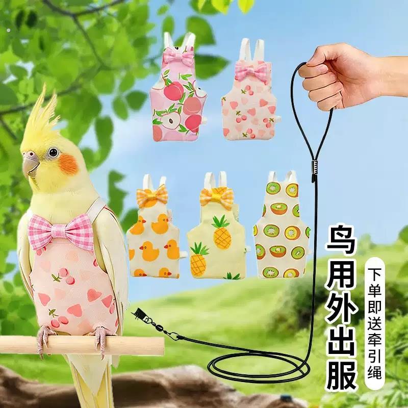 鹦鹉放飞绳小宠鸟用超轻牵引延长绳虎皮牡丹玄凤遛鸟绳鸟用外出服