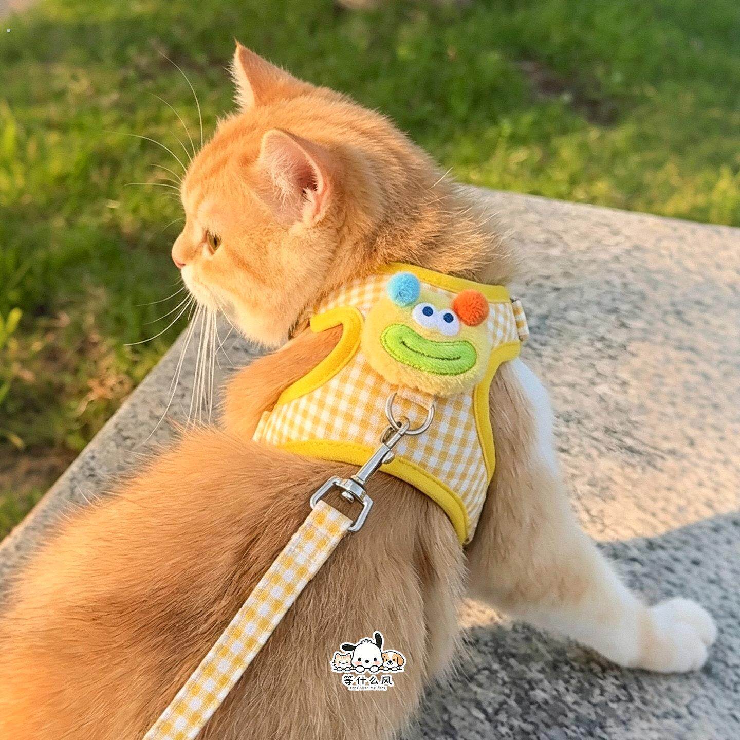 猫咪牵引绳宠物小猫专用遛猫绳防挣脱不勒脖胸背带透气新款猫项圈