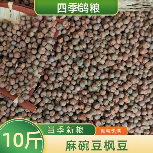 10斤装农家精品枫豆麻豌豆麻豆鸽粮赛飞信鸽粮食鸟食配料包邮