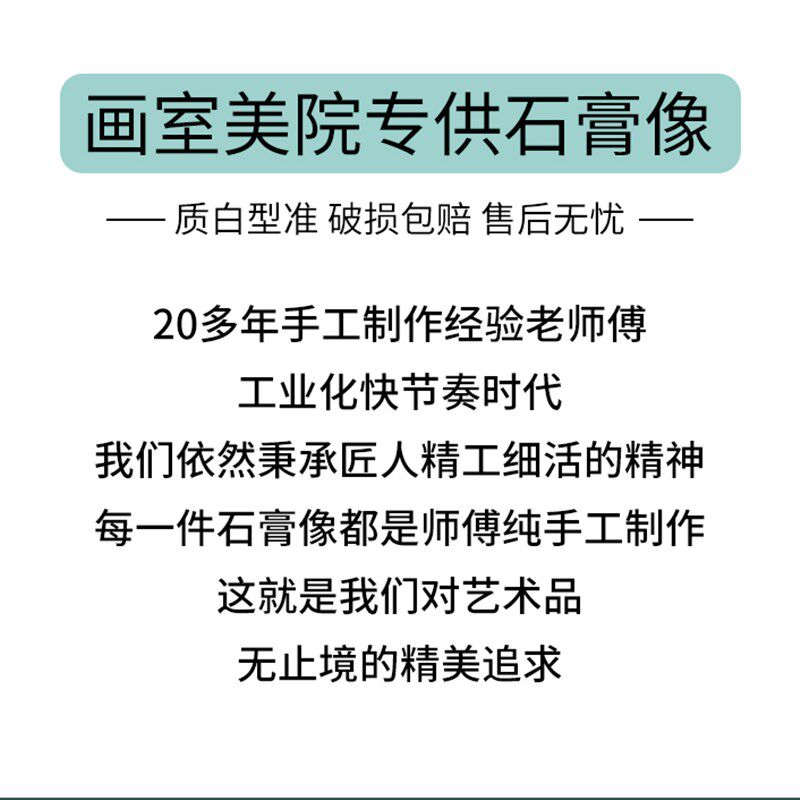 小琴女石膏像美术教具绘画模型工艺品石膏摆件石膏人物头像素描
