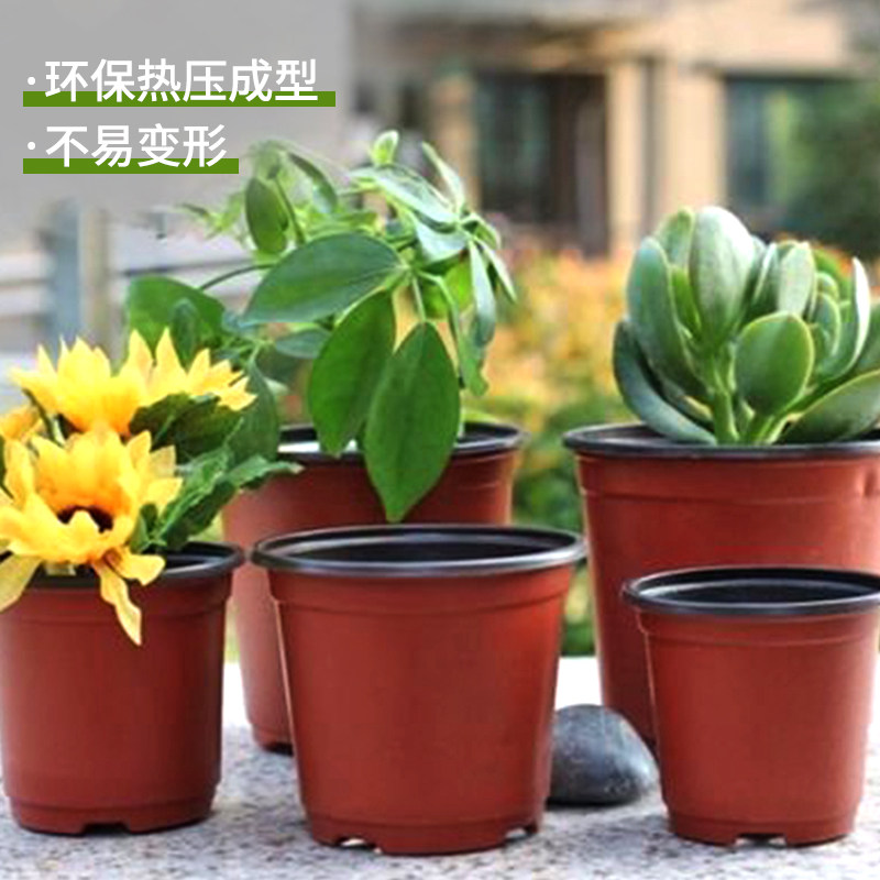 双色盆育苗盆简易一次性花盆塑料大号育苗杯多肉叶插盆加厚营养钵
