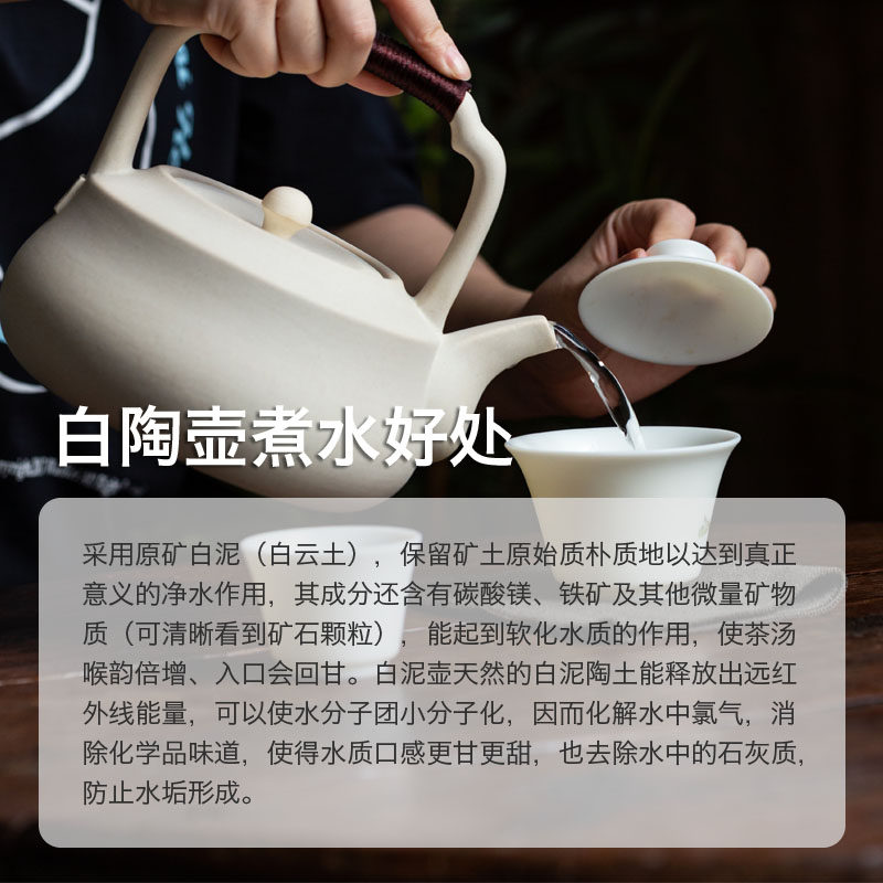 日式陶壶煮茶壶耐高温明火可烧大号陶瓷水壶家用泡茶壶白泥煮茶器