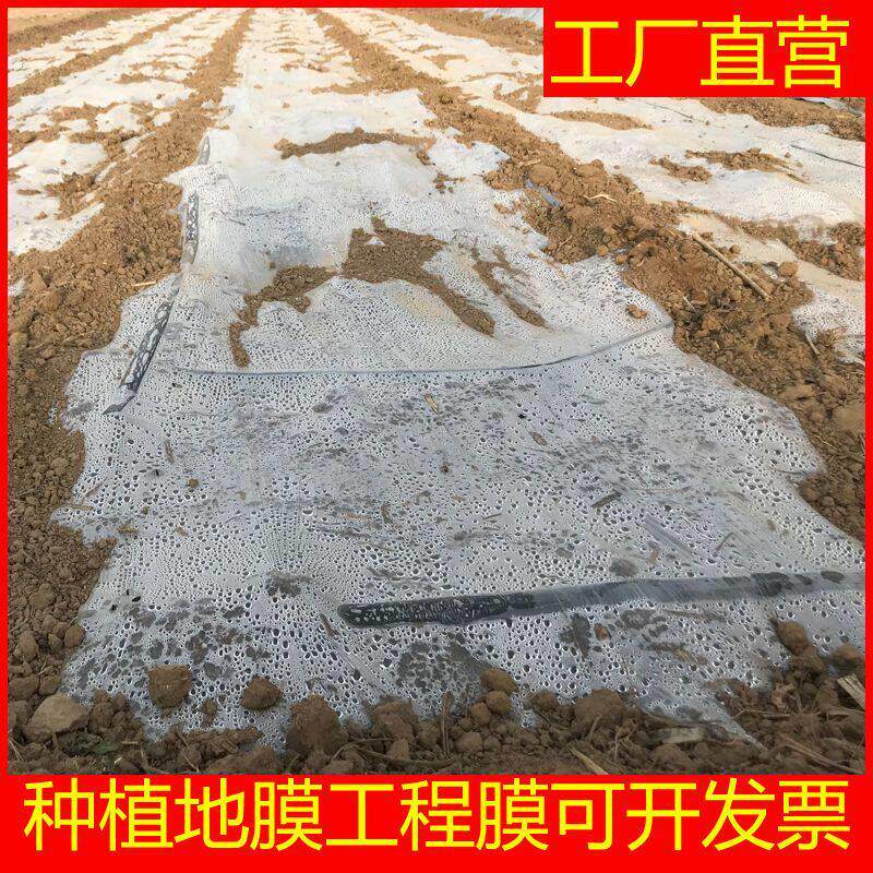 薄膜地膜地面保护膜塑料透明混凝土建筑工地专用膜工程膜养护薄膜