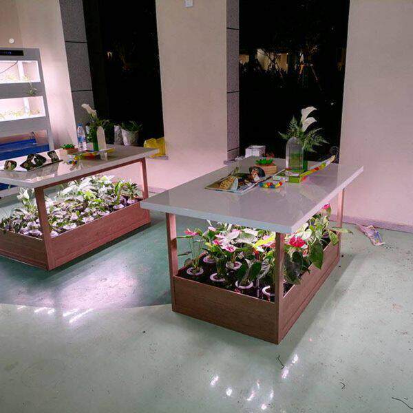 无土栽培植物种植箱现代智能客厅轻奢家用生态田园大理石茶几餐桌