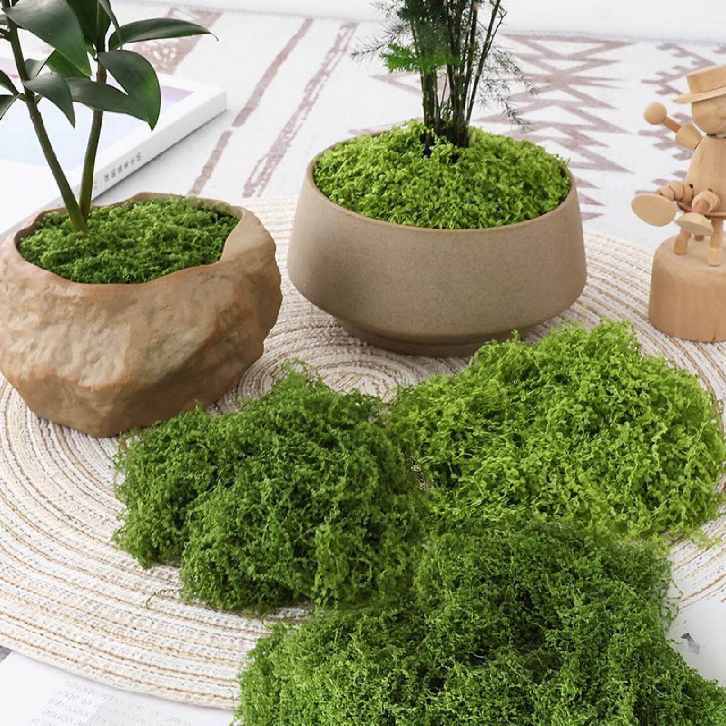 彷真苔藓草皮彷生人造假青苔微景观布置摆件草坪盆景盆栽铺面造景
