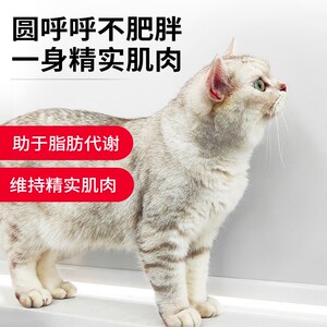 有个圈猫咪控体低脂易消处方猫粮宠物肥胖猫咪英短布偶通用营养