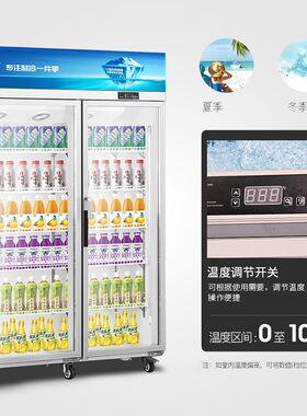 雪村冷藏饮料展示柜单门啤酒商用保鲜冰柜超市立式大容量两门冰箱